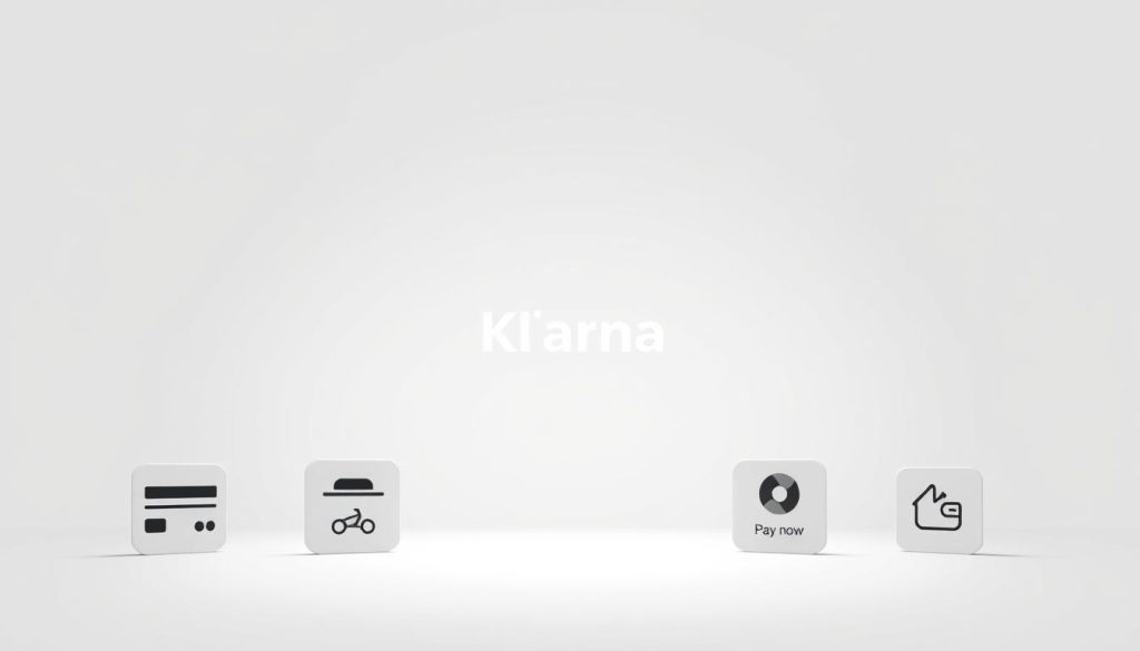 Klarna Zahlungsoptionen